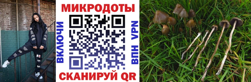 это состав  Очёр  Галлюциногенные грибы мухоморы  закладка 